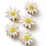 Daisy Cupcakes