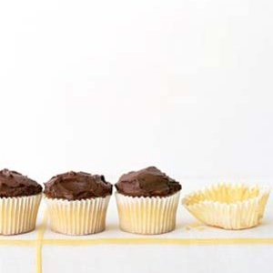 Chocolate Frosted Cupcakes