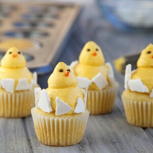 Baby Chick Cupcakes